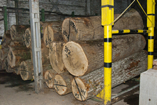 Зберігання деревини для виробництва шпону на складі