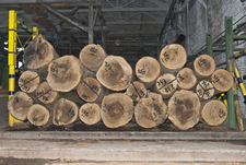 Склад кругляка дерева Єврошпон
