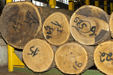 Сортування деревини перед виробництвом