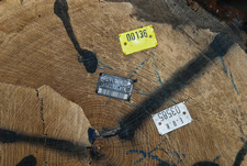 Розмітка торця колоди