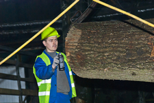 Технологічний процес розмітки дерева