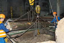 Підготовлена до стругання деревина