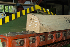 Виробнича лінія шпону